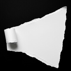 Torn white paper on black background, ripped edge, blank space, copy space, design element,...