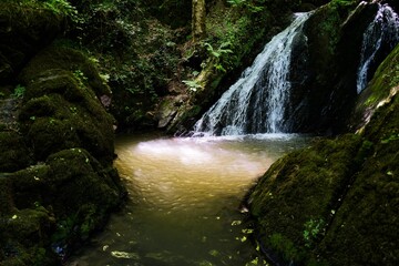 small waterfall in the forest with a sport from the bright sun