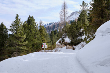 March 2025: View of the Rosegarden from the Vajolet valley, Catinaccio and Gardeccia, Trentino,...