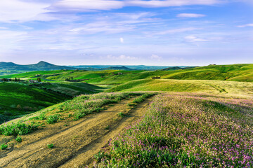 beautiful green evening meadow with bloom flowering field during amazing spring sunset among hills...