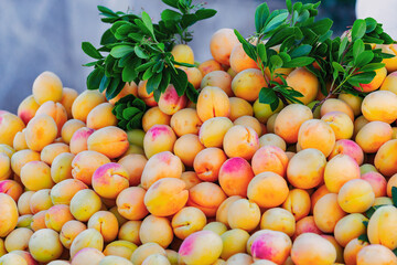 Fresh apricots on street shop display with green leaves, seasonal organic fruit for sale at local market