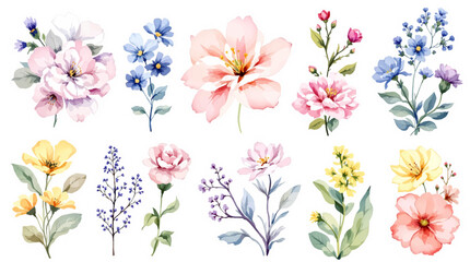 Spring flowers background