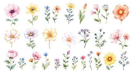 Set of watercolor flowers