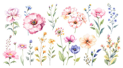 Set of watercolor flowers