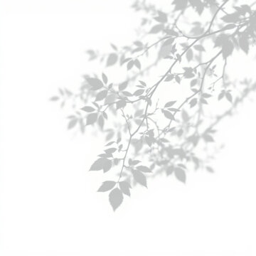 shadow overlay effect. Gray shadow of leaves isolated on white background. Plant foliage leaf shadow light effect. Mockup Blurred tree branch shadow. Ideal for summer spring design elements PNG