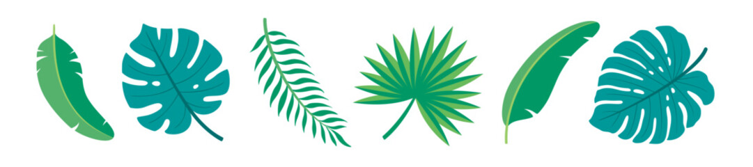 Palm leaves green tropical border. Monstera, banana leaf, and fan palm branch. Cute summer plant frame element isolated on white background. Flat design vector illustration.