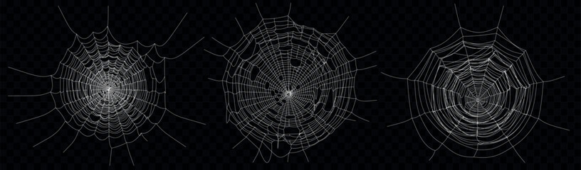 Fototapeta premium Spider web set. Cobweb illustration for halloween design. Vector background.