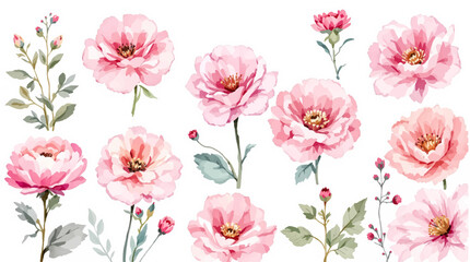 Set of watercolor flowers, set of flowers