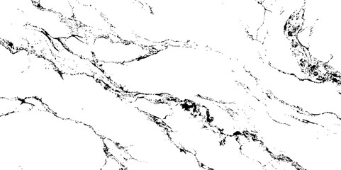 Obraz premium High-contrast black and white marble texture with natural stone veins. Abstract background ideal for modern design, digital art, print materials, and luxury branding&nbsp;projects.