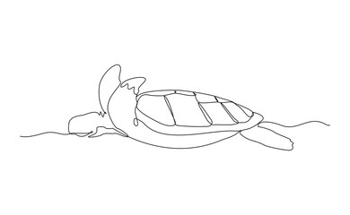Continuous line of sea turtle marine underwater aquatic ocean animal reptile wildlife sketch drawing editable stroke vector illustration