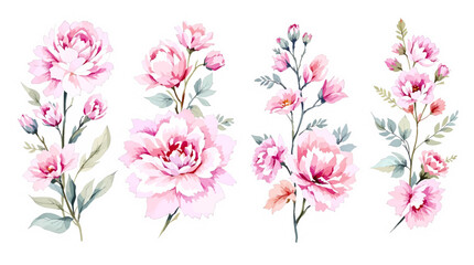Set of watercolor flowers, Clipart watercolor flowers