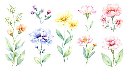 Set of watercolor flowers, Clipart watercolor flowers