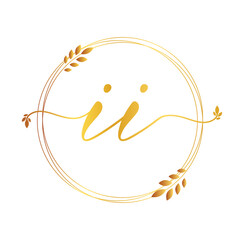 initial letter ii logo template