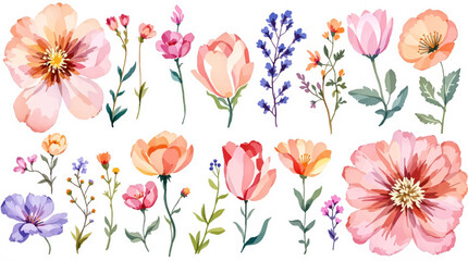 Set Spring flowers and butterflies Watercolor