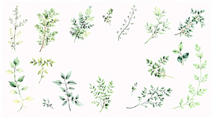 floral background with grass, Set of colorful floral elements watrecolor