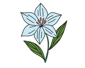 VECTORS White flower