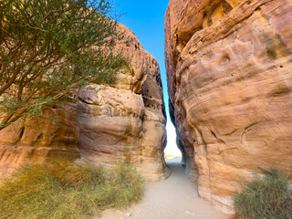 A narrow path through the sandstone formations in the desert of Saudi Arabia.