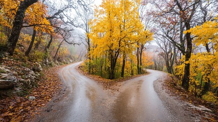 Fototapeta premium A forked road through autumn woods, misty and serene, symbolizing life's crossroads