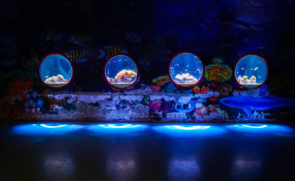 Prachuap Khiri Khan, Thailand - May 17, 2025 : Fish tank at Waghor Aquarium, part of King Mongkut Memorial Park of Science and Technology, in Prachuab Kirikhan, Thailand.