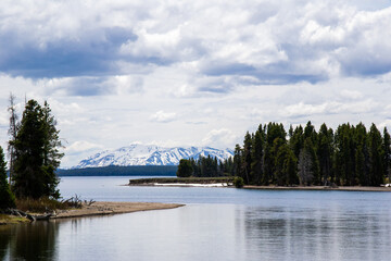 Serpentine shoreline of Yellowstone Lake with snowy mountains