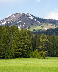 Snowy Mountain Peak with Green Trees and Grass in Yellowstone

