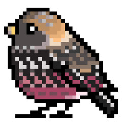ドット絵, アニマルイラスト, ハギマシコのオス