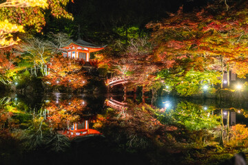 The beautiful Daigo-ji Temple and its garden illuminated at night during fall season . Kyoto, Japan.