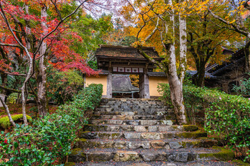 The beautiful Jakko-in Temple in Ohara during fall season. Kyoto, Japan.