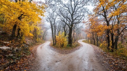 Obraz premium A forked road through autumn woods, misty and serene, symbolizing life's crossroads