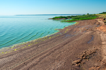 Sunny bank of the Volga river with meadow tall grass. Russia