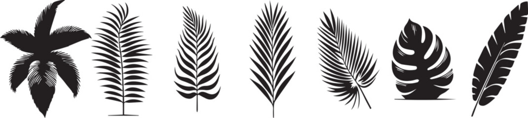 Beautiful palm tree leaf set silhouette background vector illustration