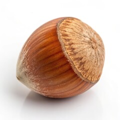 High-resolution macro of a single hazelnut in its shell, perfect for food, nutrition, or natural ingredient visuals and concepts.