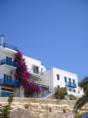 Fototapeta premium Elevated view of charming facades in Adamas, Greece with bright sky and vibrant pink flowers.