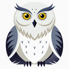 owl on white background