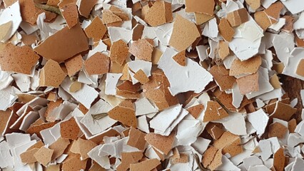 Close-up shot of many broken eggshells, showcasing their texture and color variations. Ideal for backgrounds, textures, or articles about eggs, recycling, or composting.