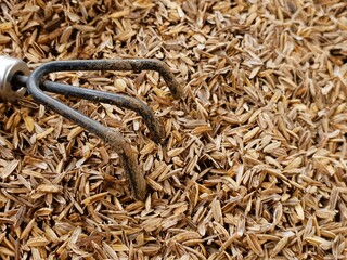 Close-up of a gardening hand rake in a pile of dried rice husks.