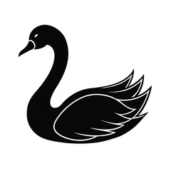 elegant black swan vector illustration silhouette