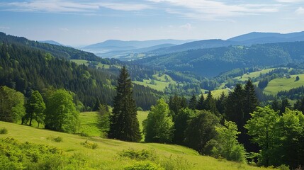 Obraz premium Scenery of the Black Forest in Germany: Enchanting Landscapes, Historic Villages, and Natural Wonders in Southern Germany