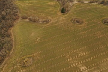 Aerial Orthomosaic of Farmland with Circular Crop Patterns