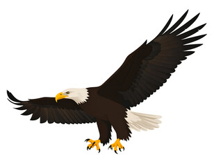Naklejka premium Majestic eagle in flight with outstretched wings showcasing powerful posture and striking features