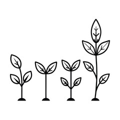 plant growth stages seedling development vector art