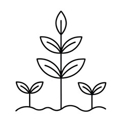 plant growth stages seedling development vector art