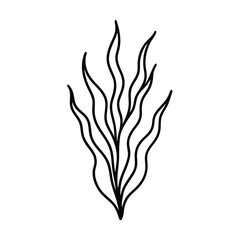 simple seaweed outline vector drawing vector