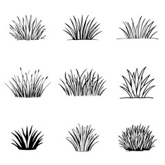 A comprehensive collection of nine distinct hand drawn black and white illustrations showcasing various types of grass tufts