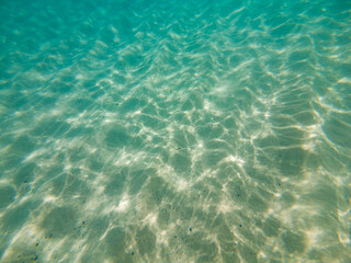 The calm and clear blue water glistens under the sunlight, showcasing a sandy bottom and gentle...