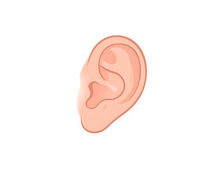 Realistic Illustration of Human Ear in Natural Skin Tone Ideal for Educational and Medical Use