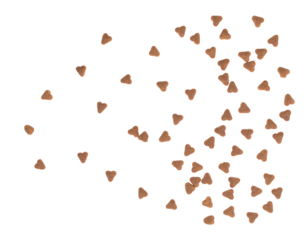 Small Brown Triangle Shapes Scattered Irregularly on a Transparent Background for Design and Decoration Use