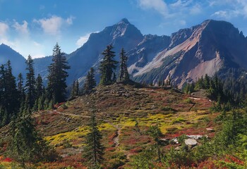 A scenic mountain landscape with evergreen trees and colorful ground cover plants