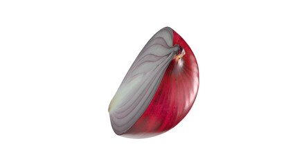 A cross-section of a red onion, showcasing its layered structure and vibrant colors.