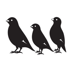 Darwin Finch Evolutionary Beaks Silhouette
